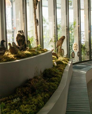 Pernova Naturhus permanenta utställningar