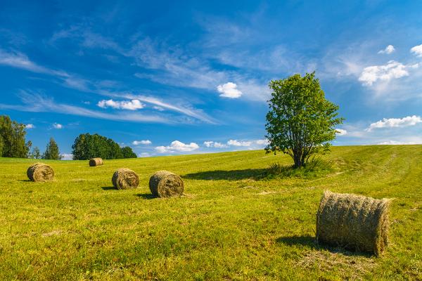  Karulan kansallispuisto ja kansallispuiston vierailukeskus Ähijärvellä