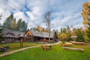 Viikingite küla tavern