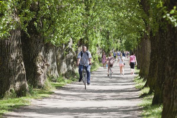 Supilinn-Promenade im Sommer