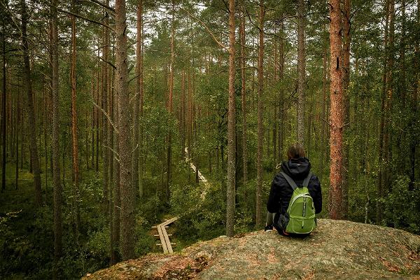 RMK Majakivi-Pikanõmmen luontopolku