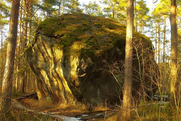 RMK Majakivi–Pikanõmme study trail