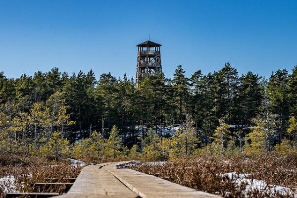 RMK Majakivi-Pikanõmme naturstudieled