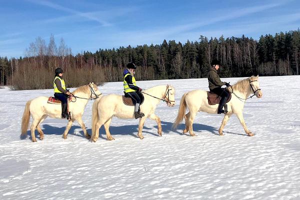 Mustamõisa horse-riding hikes