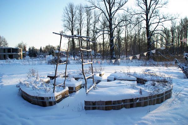 Сад на реке Эмайыги зимой