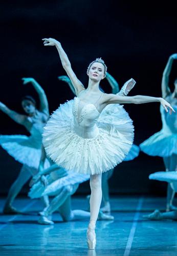 Swan Lake (P. Tchaikovsky's ballet)