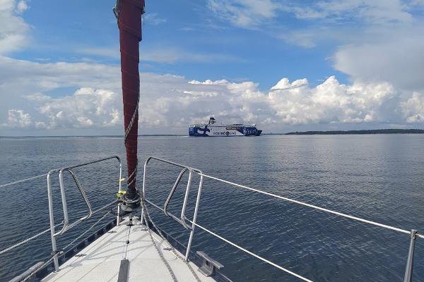 Windrose Cruising purjematkad