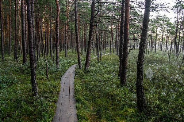 Looduskaitsekuu tähtsündmused Eestis