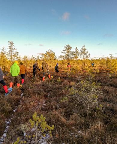 Pārgājiens ar sniega kurpēm Lahemā nacionālajā parkā