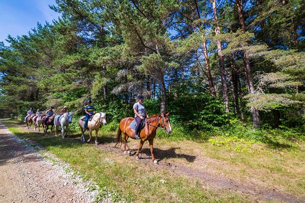 Kassari Horse Riding Hikes