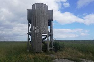 Башня для наблюдения за природой и птицами в дубраве Лооде 