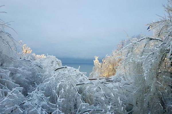 Зимой, когда дуют суровые северные ветры, на самом высоком водопаде Эстонии возникают причудливые ледяные узоры