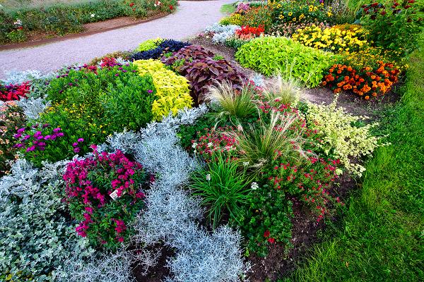 Garten der Sammlungen der Gartenbauschule Räpina