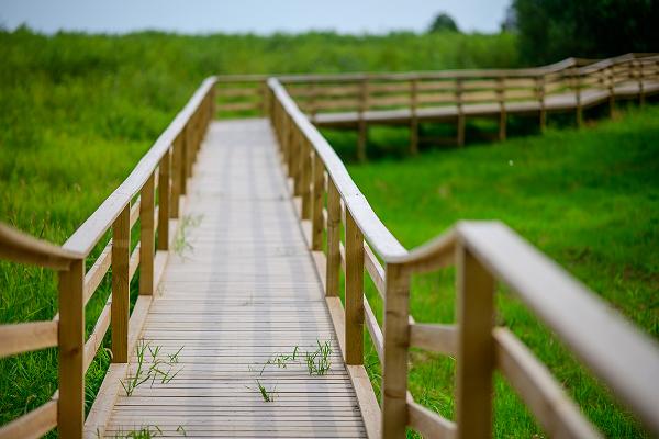 Mehikoorma footpath and beach promenade