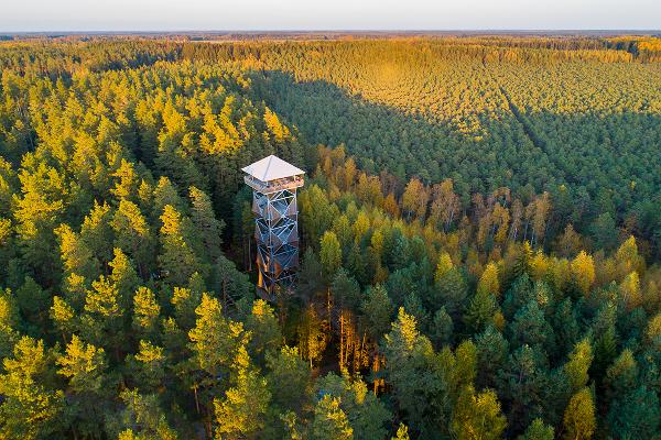 Aussichtsturm Valgesoo