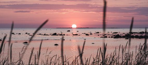 Sonnenauf- und -untergänge in Estland beobachten