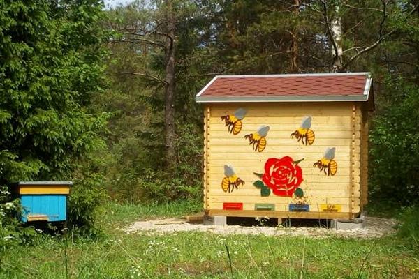 Mesilasteraapiamaja