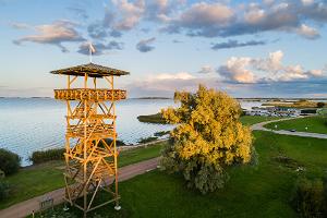 Putnu vērošanas tornis Repinas poldera aizsargājamajā teritorijā