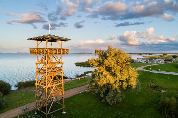 Fågelskådningstornet på Räpina polders bevarandeområde