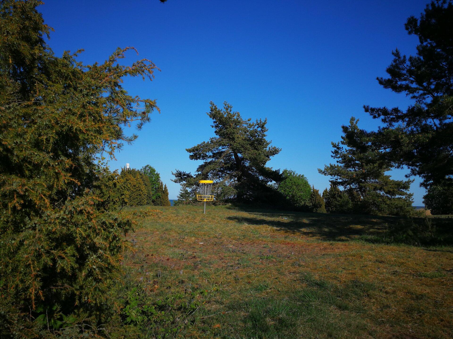 Salme discgolfi park