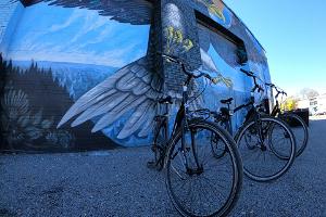 Waypoint: bicycle tours and rental in Tallinn