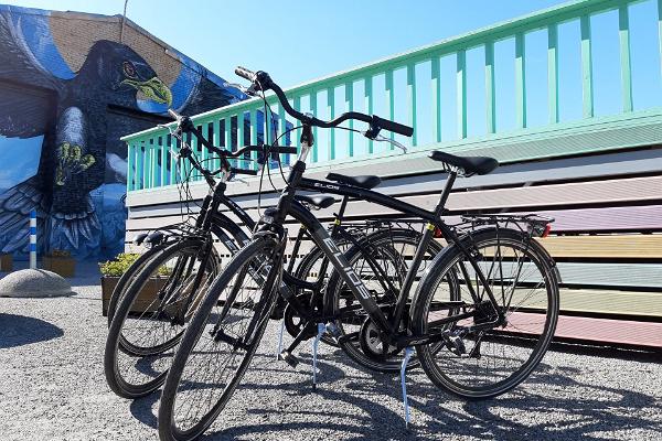 "Waypoint Tallinn" velosipēdu noma un pārgājieni ar velosipēdiem