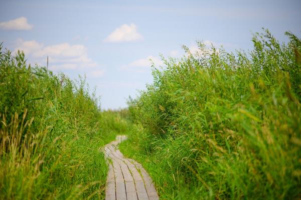 Der Rundwanderweg am Strand von Mehikoorma