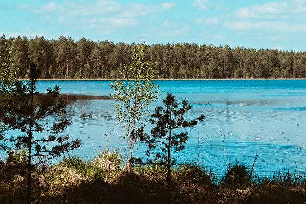 Utsikt över insjön