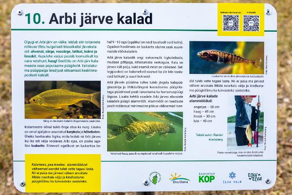 Arbi järve kalad - info stendil