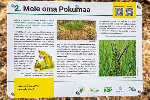 Infotafel über den Naturpfad am See Arbi - Unser eigenes Pokumaa
