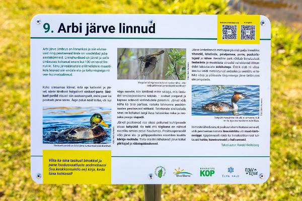 Arbi järve linnud - info stendil
