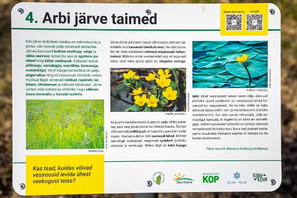 Arbi järve taimed - info stendil