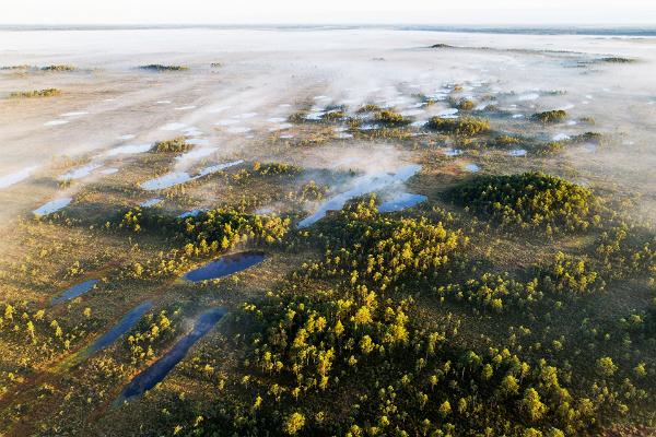 Учебная тропа Хюпассааре