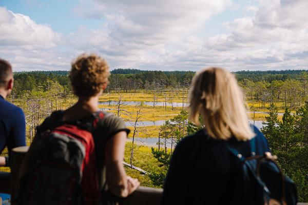 Bästa tipsen för en hållbar semester i Estland