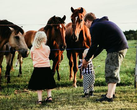 Visiting South-Estonia with preschoolers