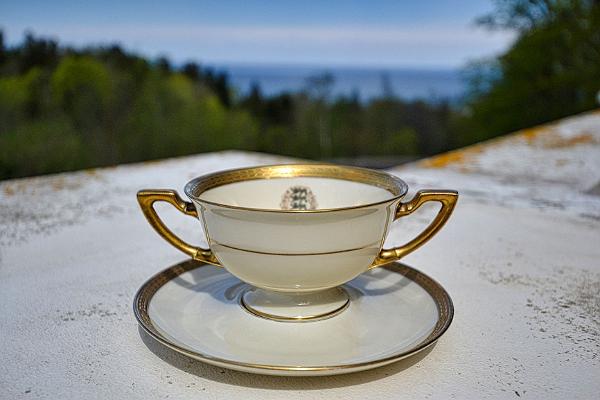 Teacup from Oru Castle in Toila