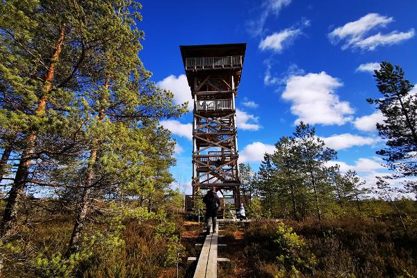 Mukri bog nature trail