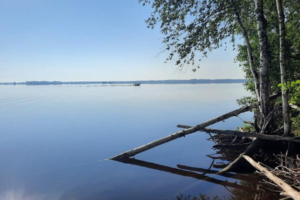 Morning on Lake Peipsi