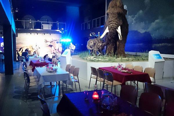 A private event in the Ice Age Centre, formal tables and a mammoth