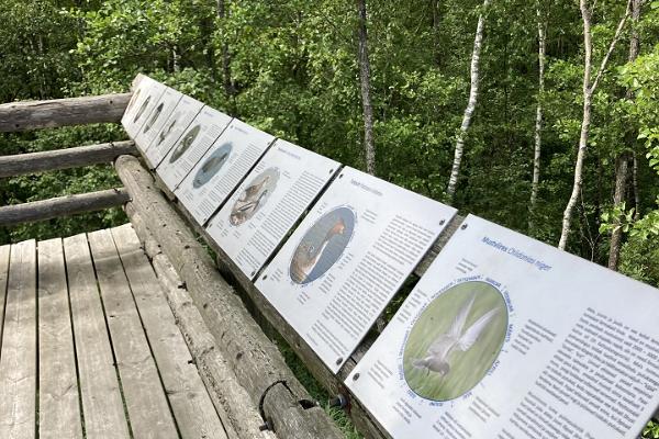 Auf der Informationstafel im Aussichtsturm am See werden auch Vogelinformationen angezeigt