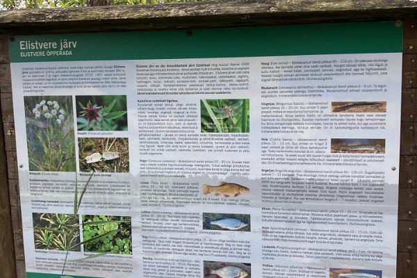 Elistveren luontopolun varrella on useita opastauluja