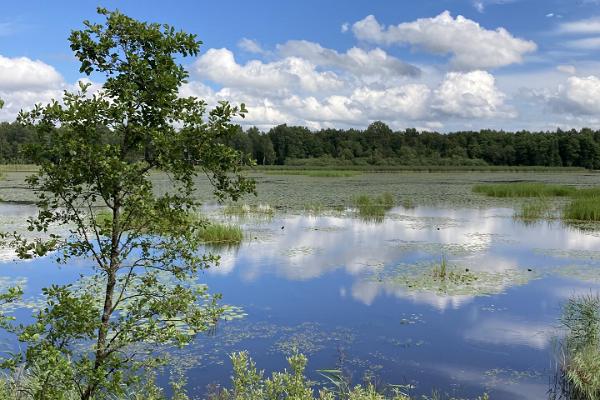 Blick auf den Elistvere-See