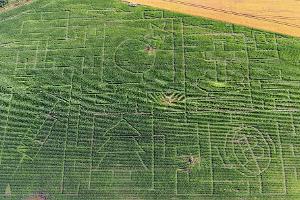 Toretalu saimniecības kukurūzas labirints