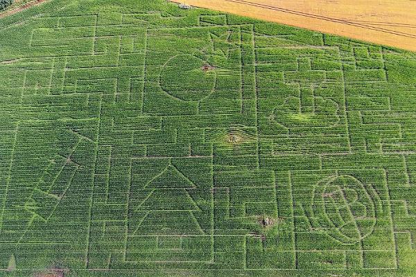 Toretalu saimniecības kukurūzas labirints