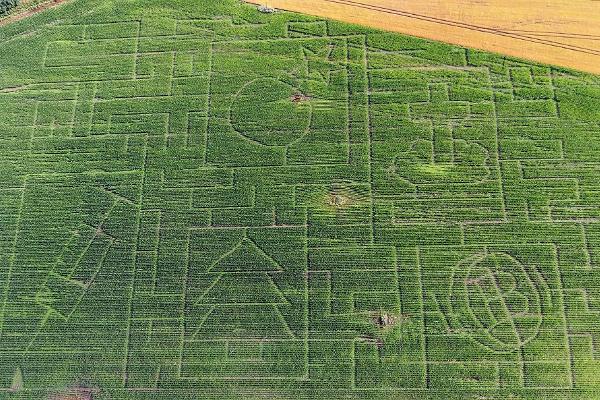 Maislabyrinth auf dem Toretalu