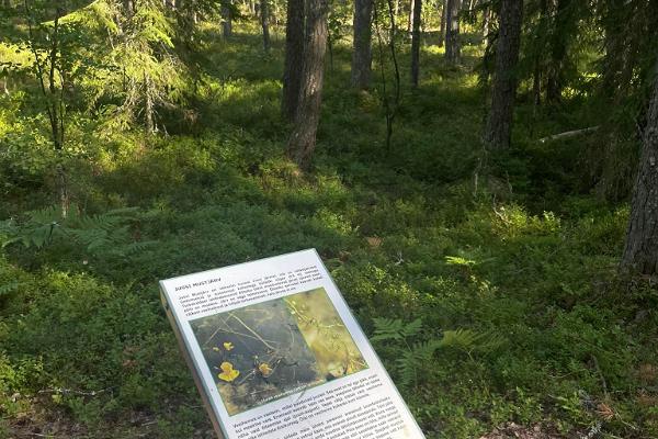Jussi nature trail
