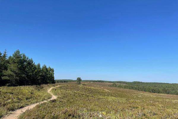 Jussi nature trail