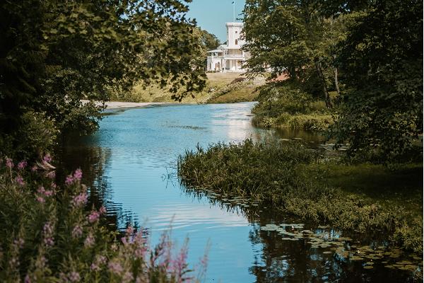 Guidad tur över norra Estlands pärlor och musik: Arvo Pärt Centret och parken och vattenfallet i Keila-Joa