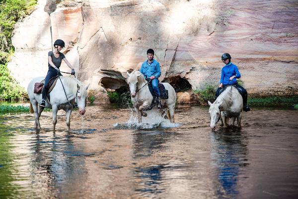 Mustamõisa horse-riding hikes