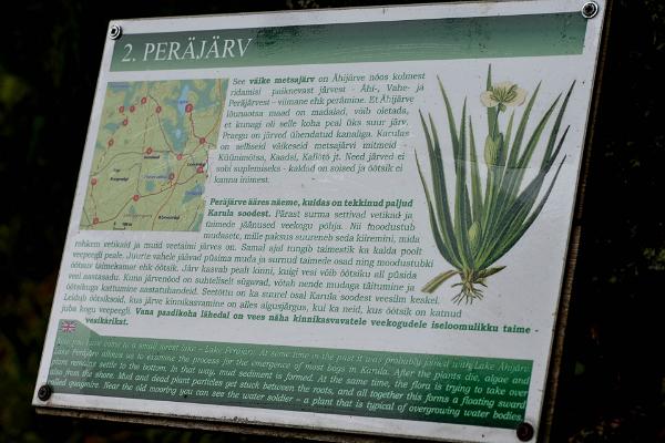 Peräjärve forest trail